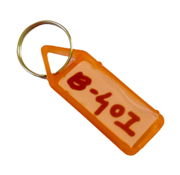 DMS RETAIL Multicolor Assorted Tag Label Multipurpose Writeable Name Key Tags Keychains Assorted Key Tag Label Multipurpose Keychain Keyring & with Name Labels (5)